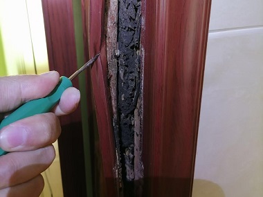 里水验收白蚁机构家里有白蚁？这些迹象你得知道！
