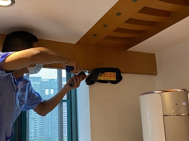 桂城白蚁备案机构提醒高层住宅真的不是白蚁的“禁区”