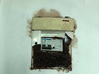 和顺消杀白蚁公司白蚁会在家里侵害骚扰怎么办