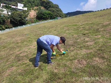 罗村专业灭鼠公司水库堤坝水利工程鼠害防控