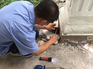 丹灶白蚁灭治中心除白蚁为什么要定期检查+反复消杀